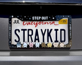 SKZ License Plate V2