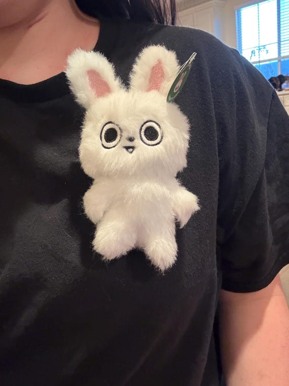 フェイクアイズオープン リービット ぬいぐるみ 予約販売 - Etsy 日本