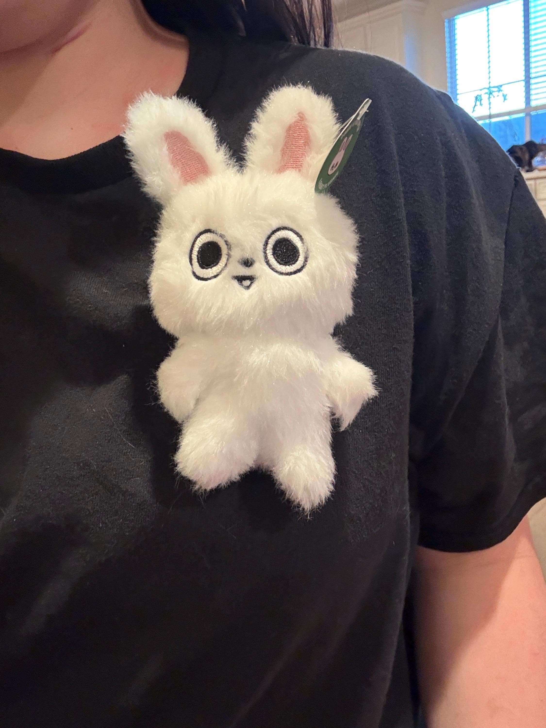 偽の目が開いたリービットぬいぐるみ - Etsy 日本