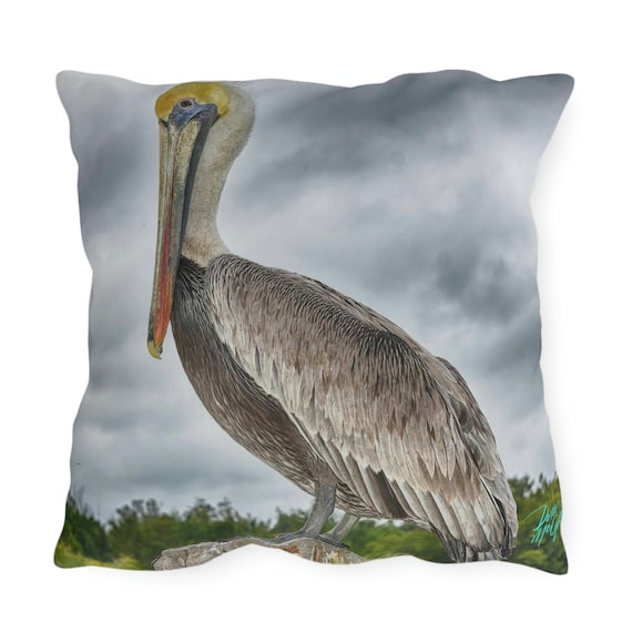 Cool Throw Pillows Comfy Throw Pillows Luxury Throw Pillows 