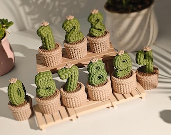 Knitted Number Cactus in Pot – 3D Printed Birthday Gift