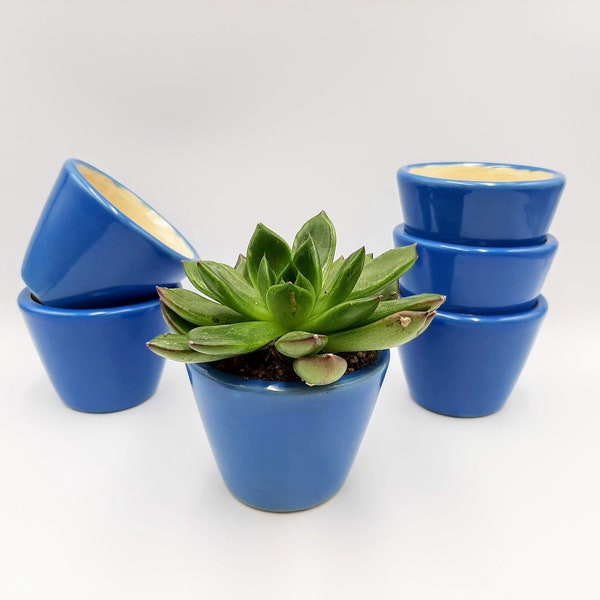 Succulent planters set of 2 / Blue ceramic plant pot / Succulents pots