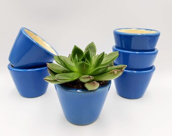 Succulent planters set of 2 / Blue ceramic plant pot / Succulents pots