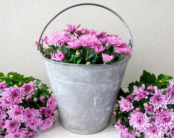 Large bucket planter vintage / Garden hanging plant pot / Rustic outdoor flower pot bucket