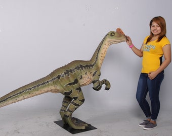 feathered dinosaur plush