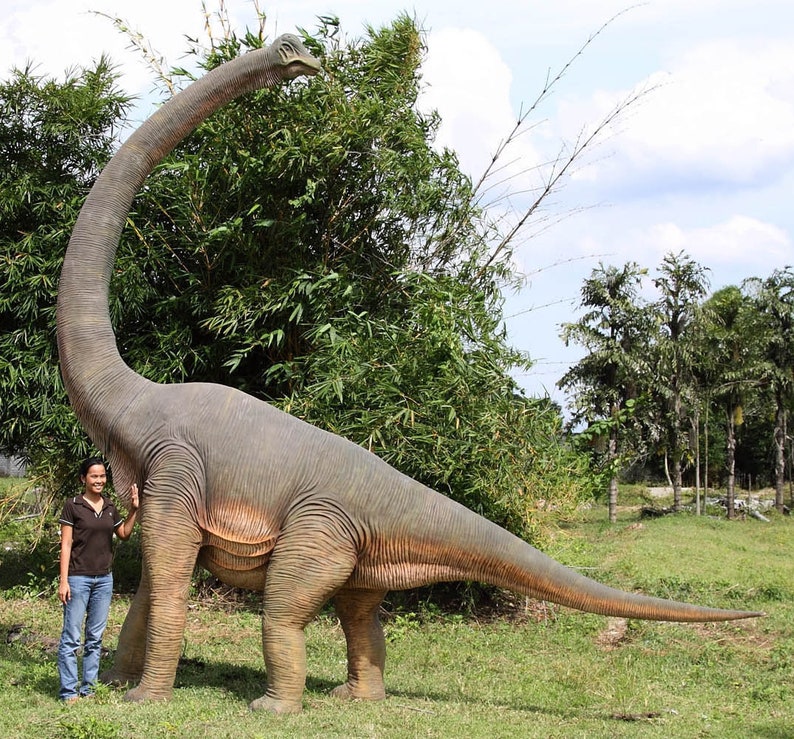 brachiosaurus neck