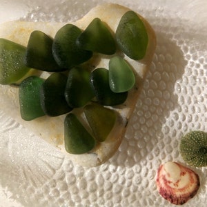 Genuine Dark Green Sea Glass,  16 pcs