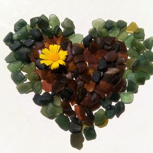 Olive and Amber Sea Glass Bulk , Medium Size ,Genuine Beach Glass for Crafts