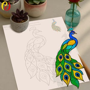 May include: A colorful peacock stained glass design with blue, green, and yellow hues. A partially completed line drawing of a peacock is next to the stained glass design. The image includes small potted plants and a vase with a red rose.