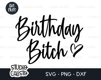 Download Funny Birthday Svg Etsy