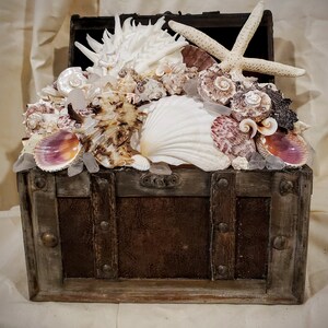 Könnte beinhalten: Eine Holzkiste voller Schätze, die mit einer Vielzahl von Muscheln gefüllt ist, darunter weiße, rosa und braune Muscheln. Die Truhe ist mit einem Seestern verziert und hat einen abgenutzten, antiken Look.