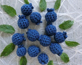 6 Blaubeeren/ Mandarinen
