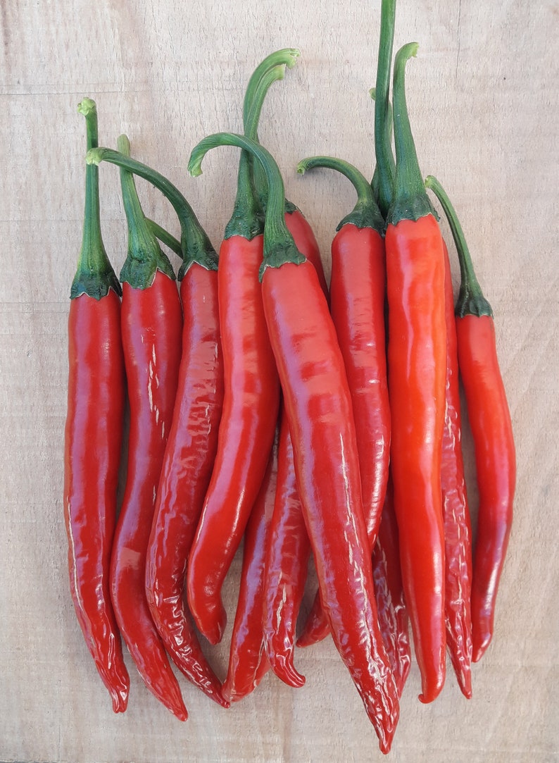 Goat’s Horn 20 Quality Organic Hot Chili Pepper Seeds | Etsy