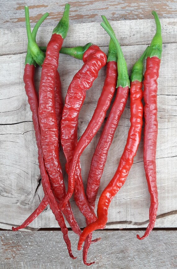Joe's Long Cayenne 20 quality organic hot chili pepper Etsy