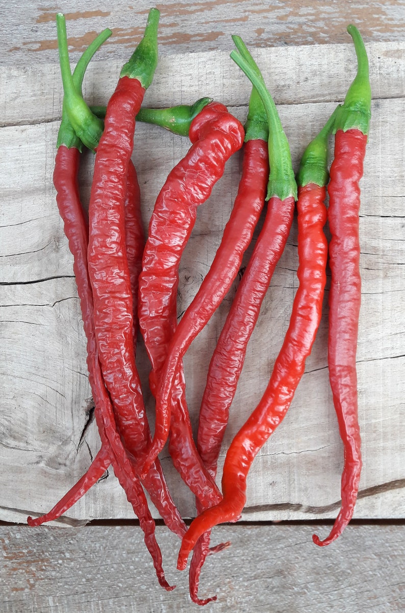 Joe's Long Cayenne 20 Quality Organic Hot Chili Pepper Etsy Canada