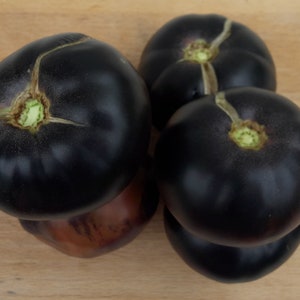 Black Beauty - 20 organic tomato seeds