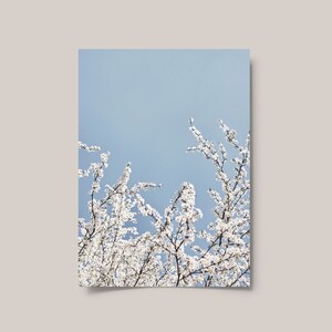 Instant download Sweden islands landscape nature pastel wall art photo print Light blue water and nature home decor poster Instant download Sweden islands landscape nature pastel wall art photo print Light blue water and nature home decor poster