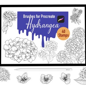 40 pinceaux de timbres d’hortensia pour procréer, pinceaux procréer, nature, paysage, timbres procreate, lettrage, cartes de vœux, tatouage