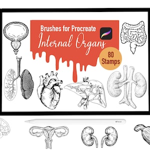 80 Pinceles de sello de órganos internos para Procreate, Pinceles Procreate, médico, medicina, Sellos Procreate, Letras, Tarjetas de felicitación, Tatuaje