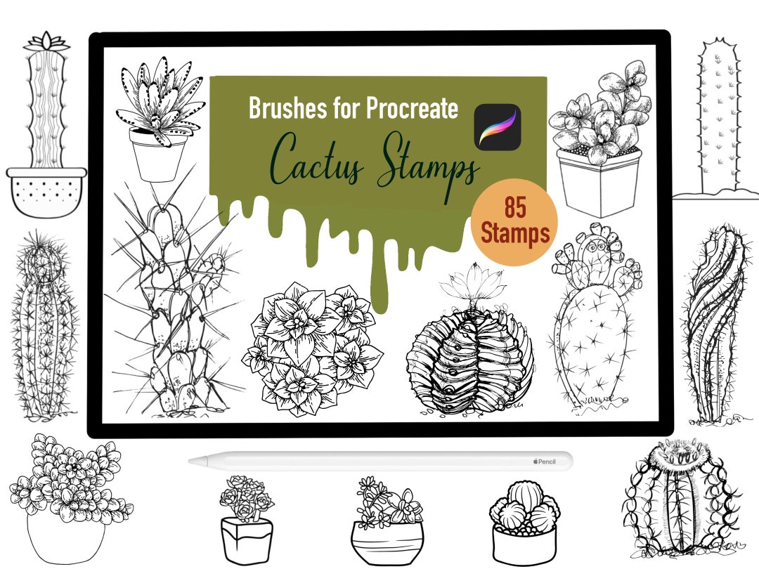 85 Cactus and Succulents Stamp Brushes for Procreate - Etsy