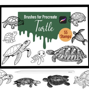 May include: A digital illustration of 55 turtle stamps for Procreate. The stamps are black and white and feature different types of turtles, including sea turtles, land turtles, and baby turtles.