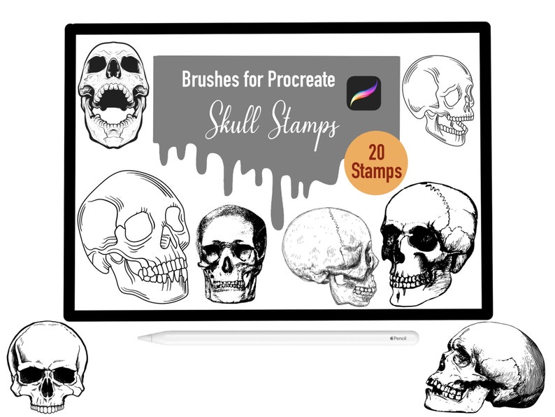 free procreate skull brushes