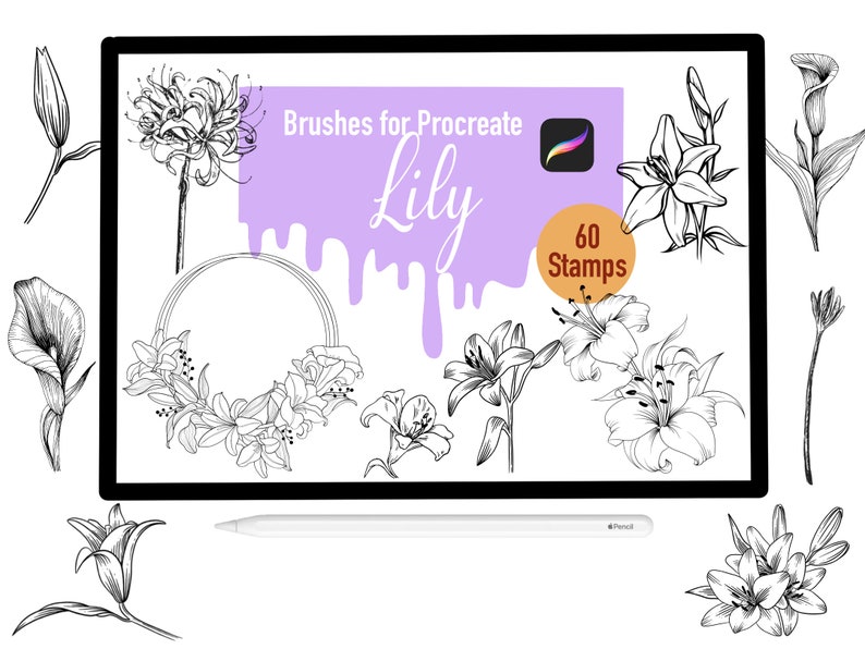 60 Lily Stamp Brushes for Procreate Procreate Brushes - Etsy