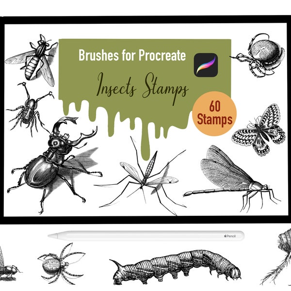 60 Insects Stamp Brushes for Procreate, Procreate Brushes, Nature, Landscape, Procreate Stamps, Lettering, Greeting Cards, Tattoo