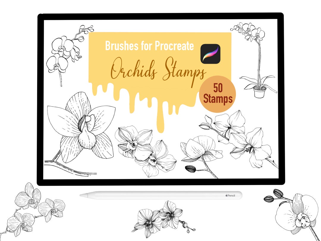 50 Orchids Stamp Brushes for Procreate, Procreate Brushes, Nature ...