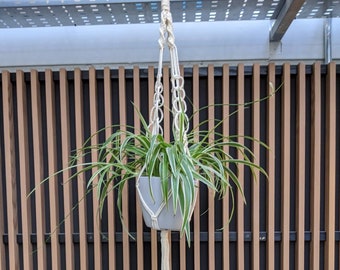 Macrame Plant Hanger 70's Bohemian Style