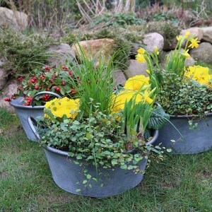 Plant pot/plant tub "Jackson" 2-part made of zinc