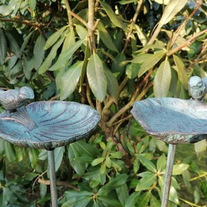 Bird bath/drink, assorted in 2 colors, turquoise