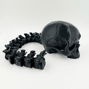 May include: A black 3D printed human skull and a black 3D printed human spine.