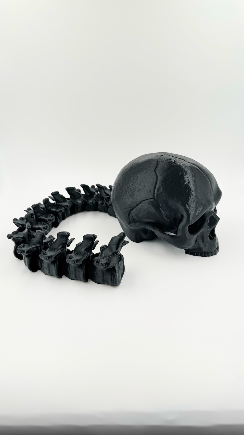 May include: A black 3D printed human skull and a black 3D printed human spine.