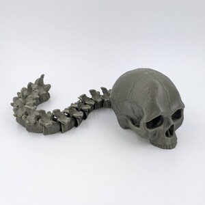 May include: A 3D printed model of a human skull and spine. The skull is gray and the spine is made up of individual vertebrae.