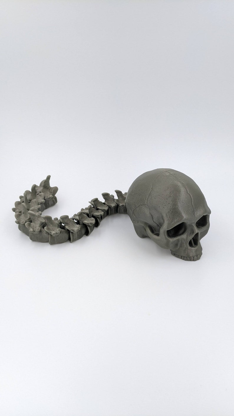 May include: A 3D printed model of a human skull and spine. The skull is gray and the spine is made up of individual vertebrae.