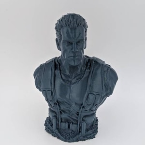 Predator, Dutch (Arnold Schwarzenegger), The Predator : Wolf Predator Bust, predators, predator 2, the predator, avp, weyland, prey
