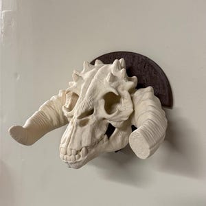 May include: A cream-colored, stylized skull with large, curved horns, mounted on a dark brown, semi-circular plaque. The skull has detailed features, including teeth and eye sockets. The horns are textured, and the piece is likely a decorative wall hanging.