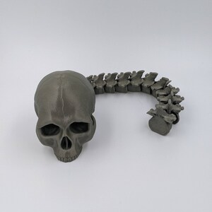 May include: A 3D printed human skull and a 3D printed human spine, both in a dark gray color.