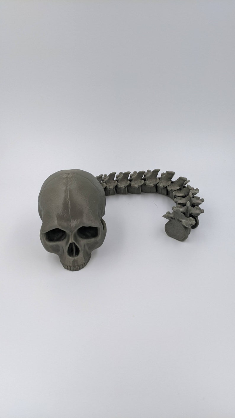 May include: A 3D printed human skull and a 3D printed human spine, both in a dark gray color.