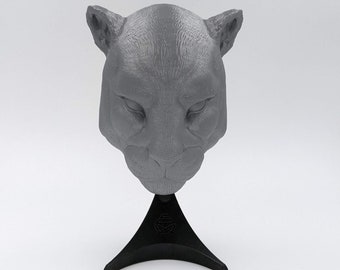 Puma cougar cat mountain lion panther