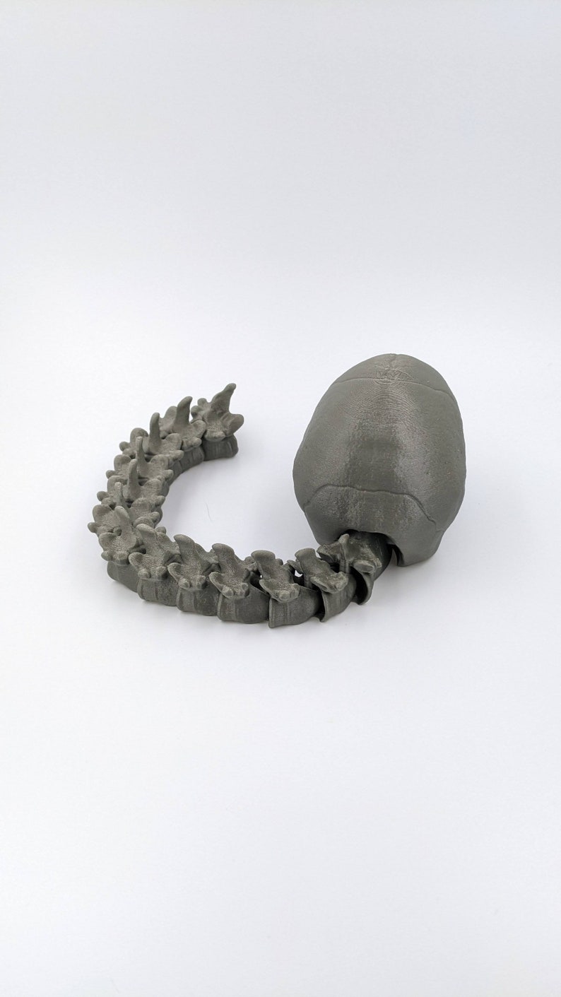 May include: A 3D printed model of a grey alien skull with a segmented spine attached to the back.