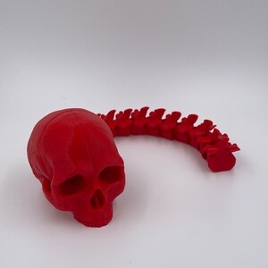May include: A red plastic skull and a red plastic spine, both lying on a white surface.