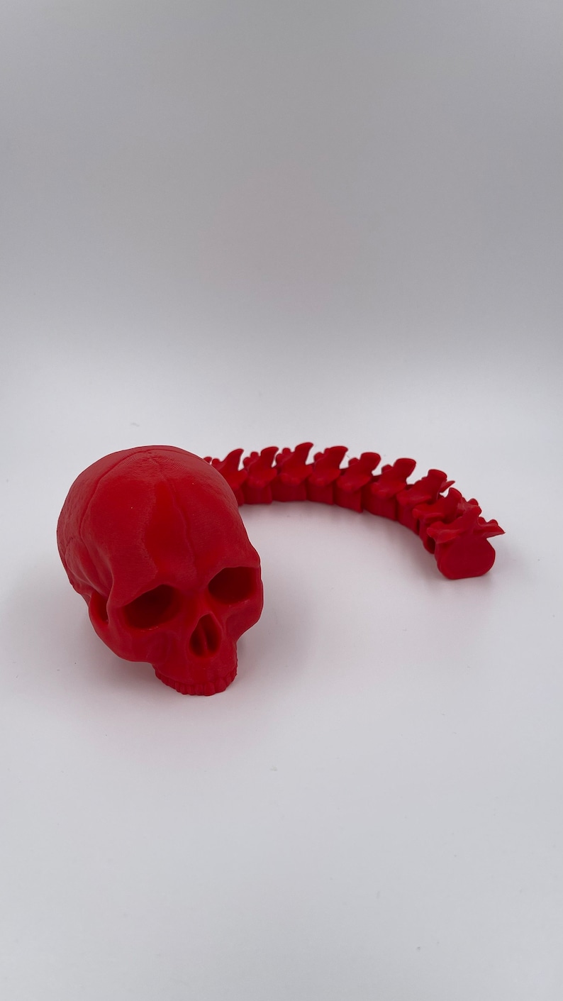 May include: A red plastic skull and a red plastic spine, both lying on a white surface.