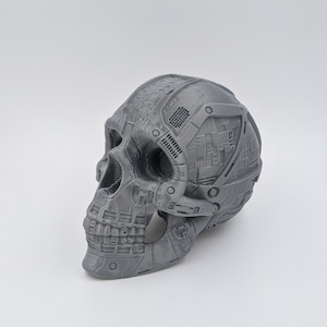 Duncan Skull, Cyber skull, Android skull, metallic skull, human skull