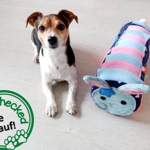 Op de afbeelding: Een witte en bruine hond zit op een lichte houten vloer en kijkt naar de camera. Een blauw en roze knuffelkonijn met een ster op zijn borst ligt op de vloer voor de hond. Een groene cirkel met de tekst "Checked Pfoate drauf!" bevindt zich op de vloer in de linkerbenedenhoek van de afbeelding.