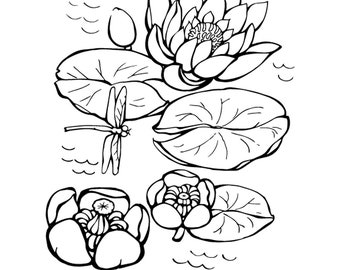 Water Lily Svg Etsy