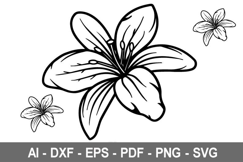 Free Free Lily Flower Svg Free 136 SVG PNG EPS DXF File