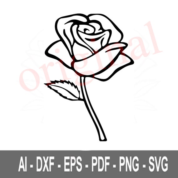 Wild Rose Flower Svg Roses Svg Roses Png Rose Pdf Roses - Etsy
