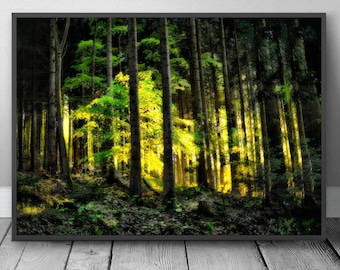 Black forest poster photography sunset, high quality, in bright yellow and green, stylish art print, perfect gift